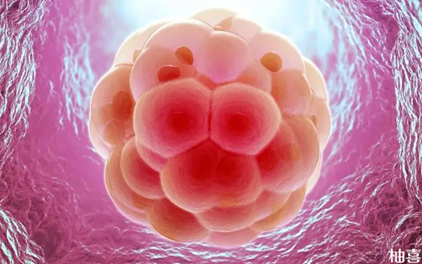 囊胚移植14天不成功胚胎会自己排出来吗?