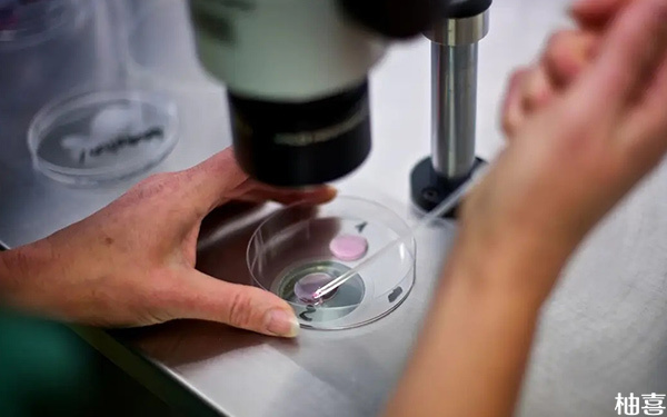 二代试管囊胚解冻后可以进行胚胎染色体筛查吗?