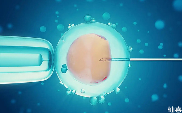 三代试管短方案第一次鲜胚移植的着床成功率多高?