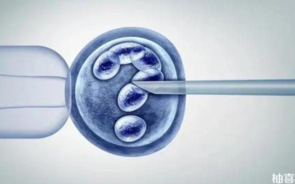 试管选择短方案的女性促排后当月可以直接移植鲜胚吗?