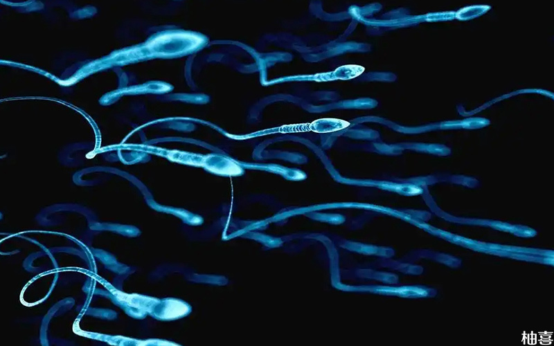 二代试管是利用显微操作技术使卵子受精