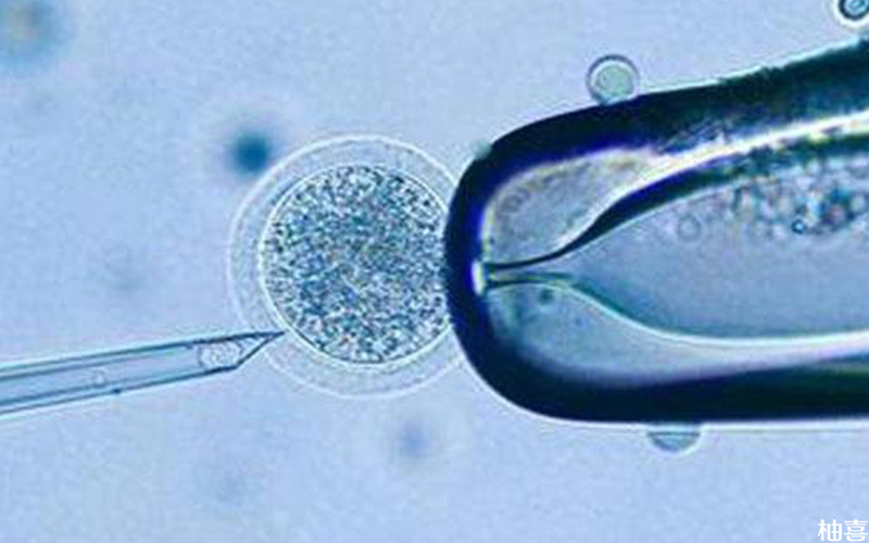 移植鲜胚对激素水平有要求