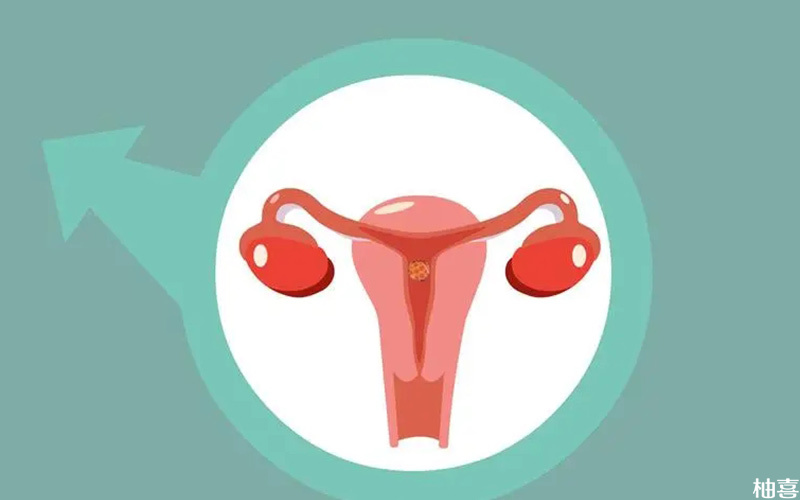降调方案要根据卵巢储备功能制定