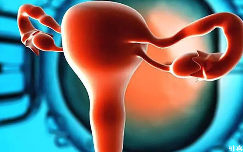 子宫内膜过厚会影响移植成功率