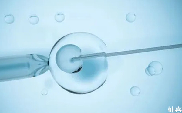 为什么专家说拮抗剂方案不能移鲜胚而是移冻胚?