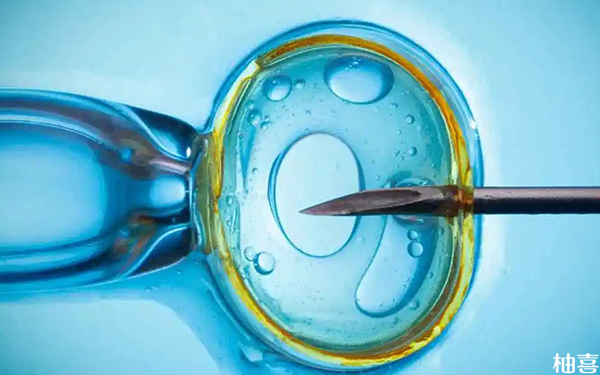 大龄用ppos试管方案多久可以安排胚胎移植?