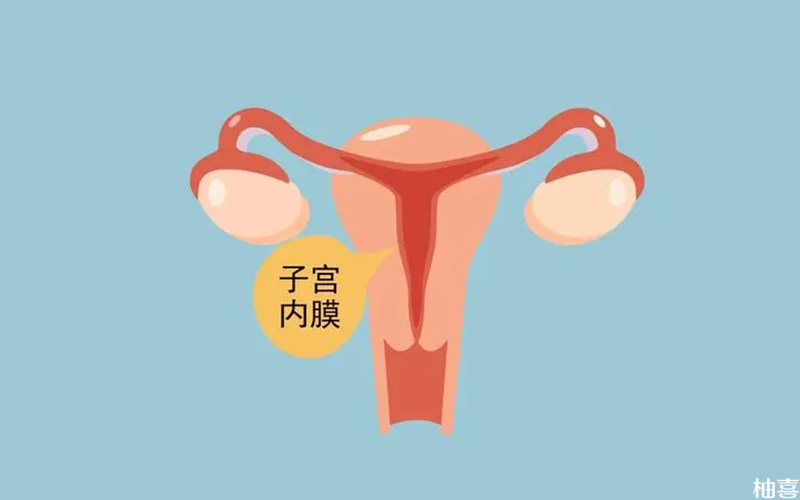 c型子宫内膜常见于黄体期