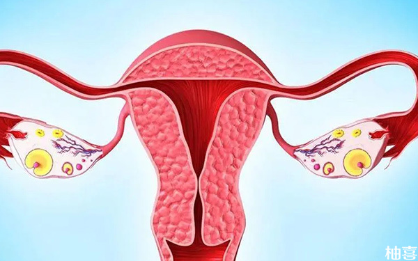 子宫内膜薄只有6mm做试管能成功怀孕并生产吗?
