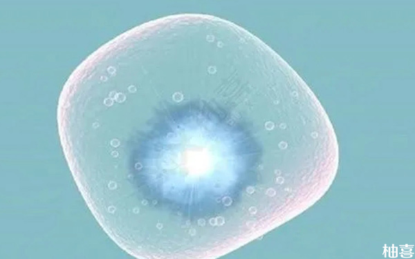 3天的鲜胚质量一般达到几级移植成功率才高?