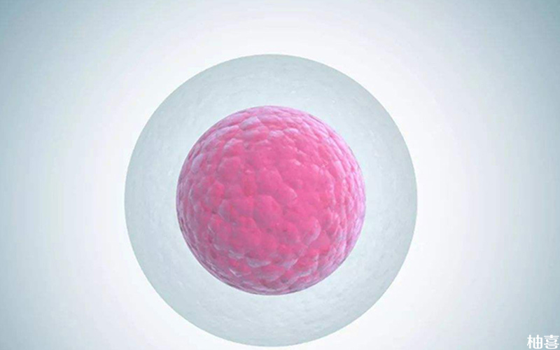 卵泡发育不好对怀孕的危害很多