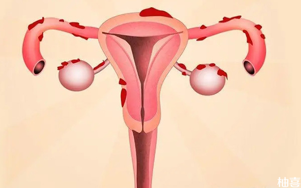 子宫内膜形态由b型转为c型还可以做胚胎移植吗?