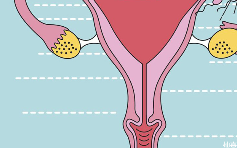 子宫内膜c型移植成功率低