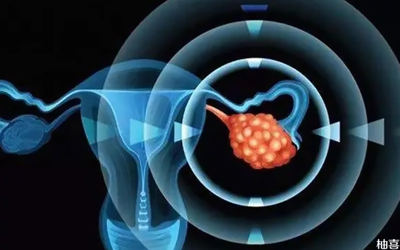 B型内膜是胚胎移植的最佳时期