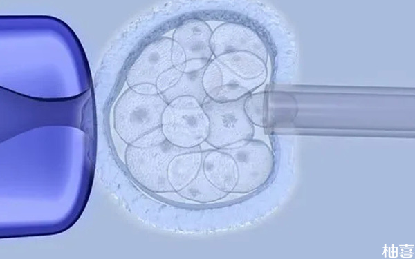 为什么说囊胚4bc移植第二天是着床最关键的时期?