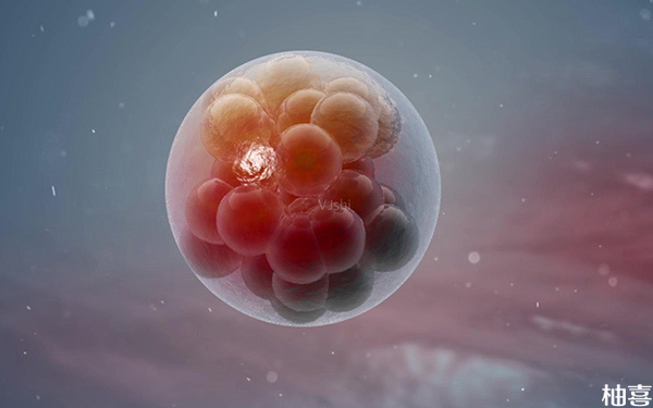 取卵前抽血检查雌二醇为2000对应几个成熟卵泡?