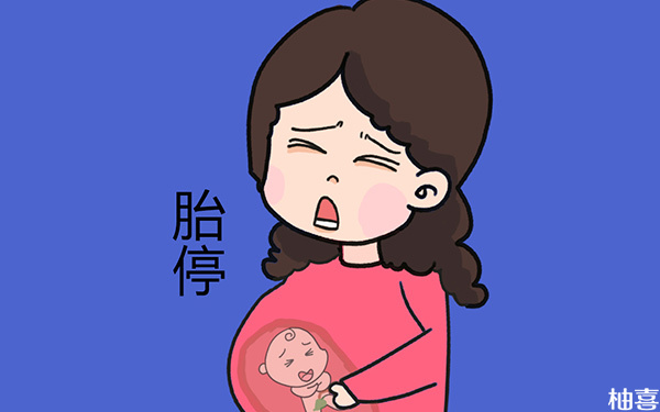 怀孕二个月胎心消失了一定就是代表胎停了吗?