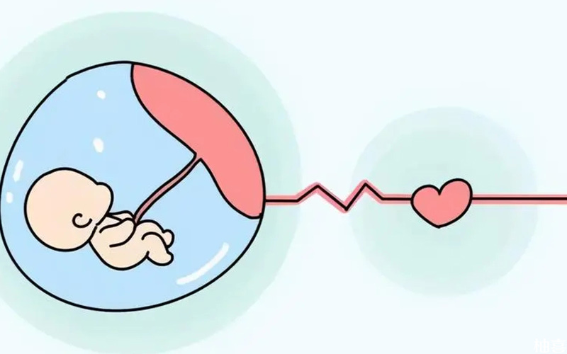 怀孕第一胎都会比第二胎容易胎停