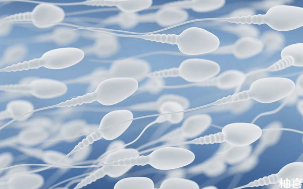 男性精子不液化还有救！5大方法恢复后照样能生育
