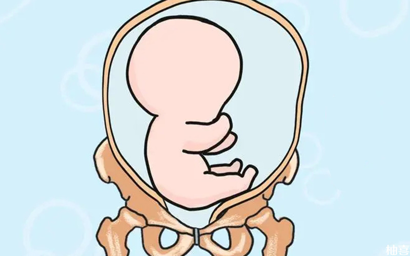 胎儿臀位一般是指胎儿的屁股朝下