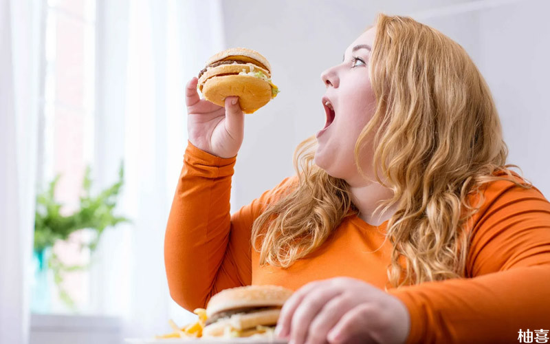 女性过度肥胖会影响生育能力