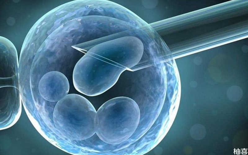 取卵后配成胚胎数量跟卵子质量有关