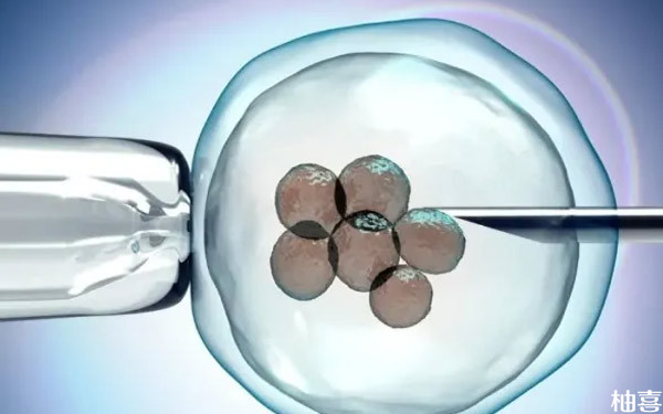 0pn囊胚别以为不能移植，正常概率没你想象中的低！