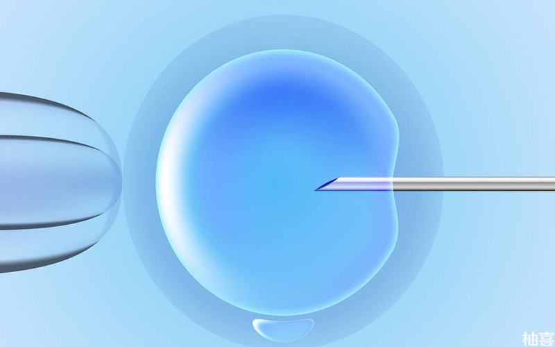 移植后胚胎着床的时间不同