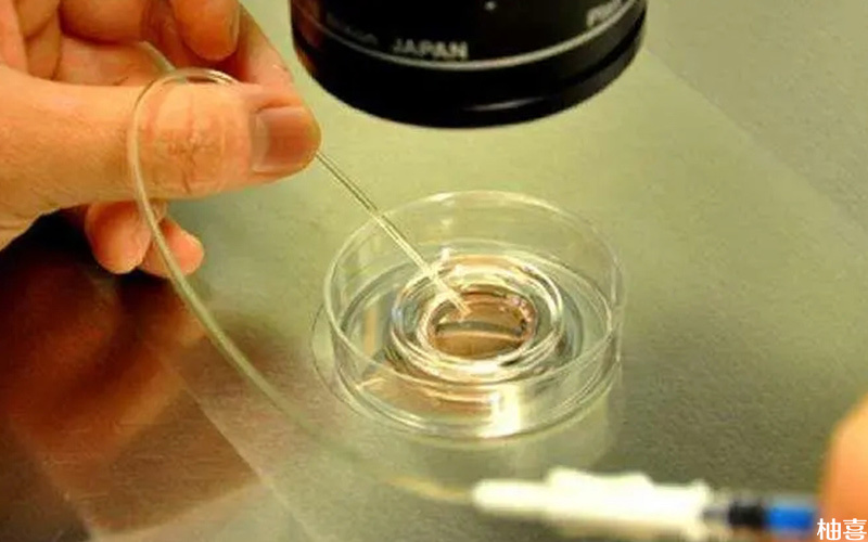 胚胎培养成功率受医生技术影响