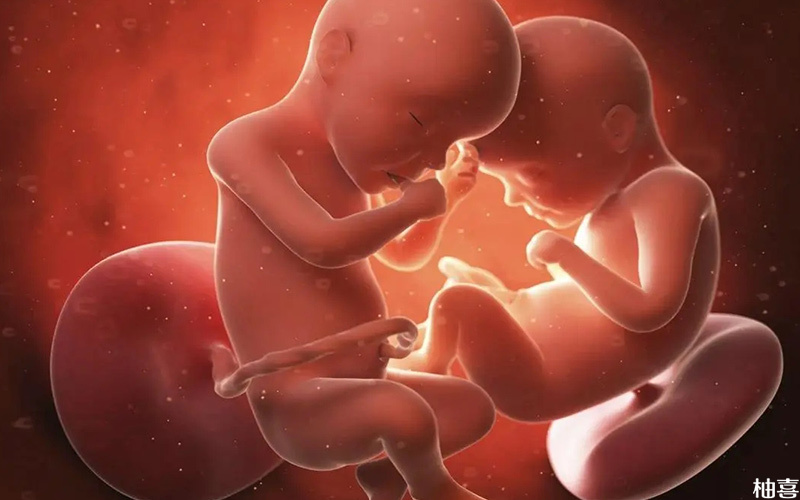 孕妇精神紧张易导致双胎早产