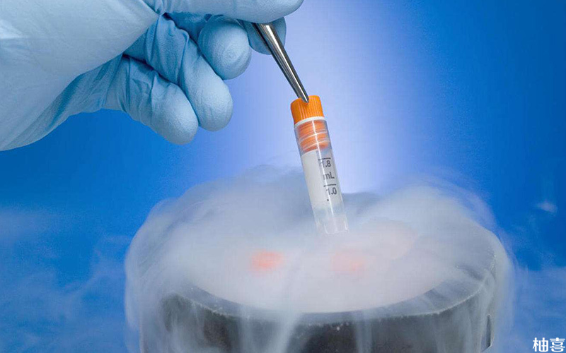 大多数医院会将两个胚胎一起冷冻