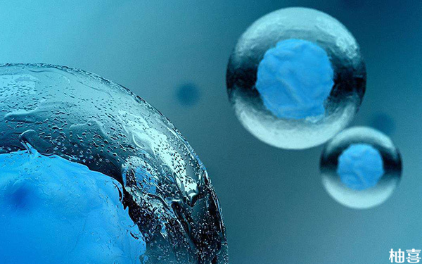 2023山大生殖冻胚保存费用一年大概多少钱?