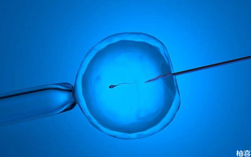 二代试管单精子注射可提高精卵结合率