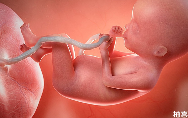 胚胎质量差发育慢成功生下来健康宝宝的概率大吗?