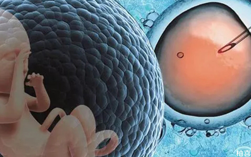 胚胎质量差发育慢可能会生下健康宝宝