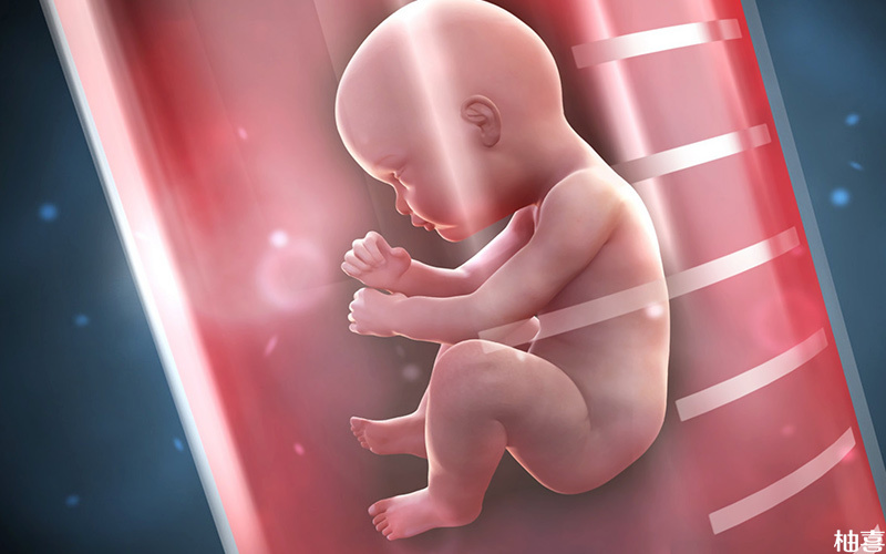 胚胎质量差强行保胎可能生下畸形儿