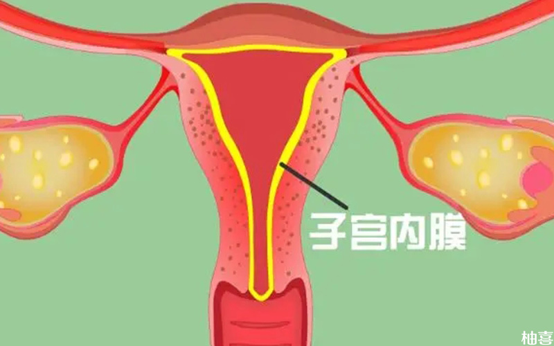黄体酮可帮助让子宫内膜实现转化