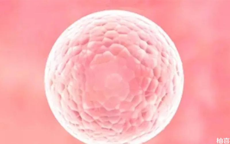 卵泡发育速度受月经周期的影响