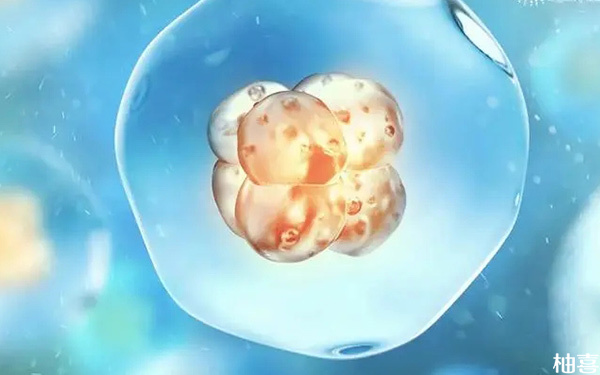 只要养成囊胚了就说明质量比较好都是优质的胚胎吗?