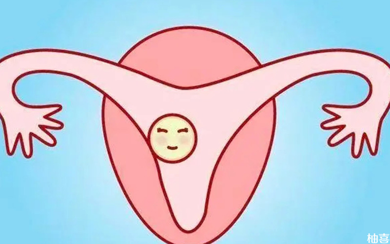 两侧卵巢只有1个窦卵泡数量偏少