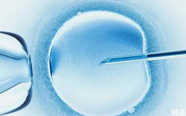 试管人工周期方案最佳胚胎移植日怎么定？