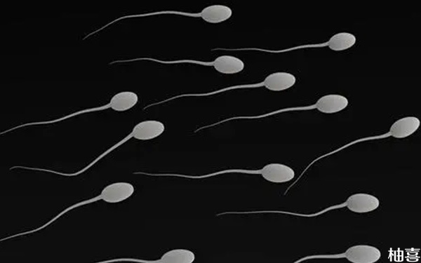 精子DNA碎片率42自然怀孕了孩子能要吗?