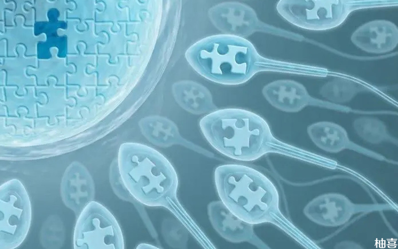 精子DNA碎片42胎儿容易发育畸形