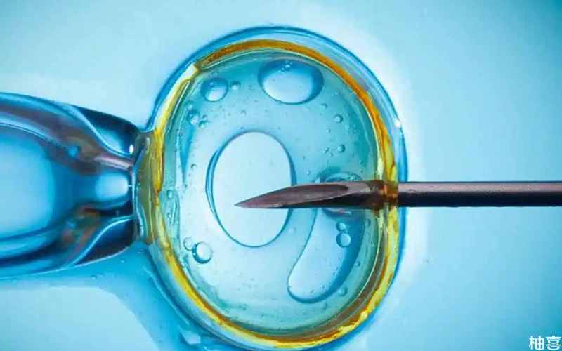 移植3bb的囊胚有一定着床几率