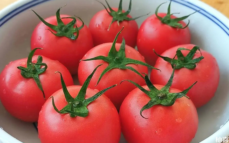 移植后适当吃番茄对身体有好处