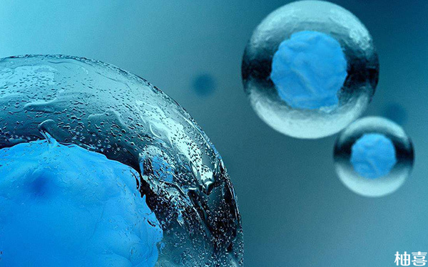 冻胚移植后每天都紧张焦虑会杀死胚胎吗?