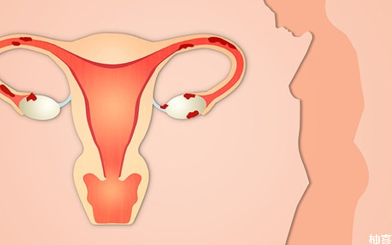 试管prp治疗可提高子宫内膜容受性