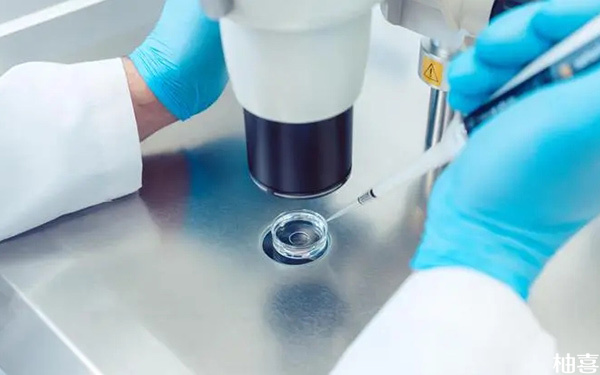 三代试管是要养囊后再进行胚胎染色体筛查吗?