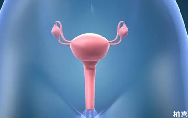 试管囊胚移植内膜转化期内膜会变薄还是变厚?