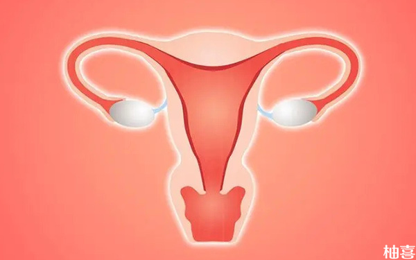 子宫内膜9.6mm移植普通胚胎着床成功率高吗?