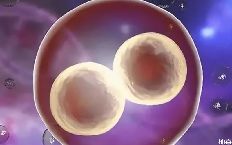卵泡皱缩可能是卵泡萎缩的表现